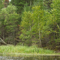 Similar image 8178831