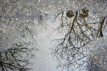 Similar image 8178835