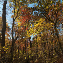 Similar image 8178841