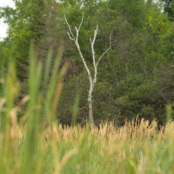 Similar image 8178845