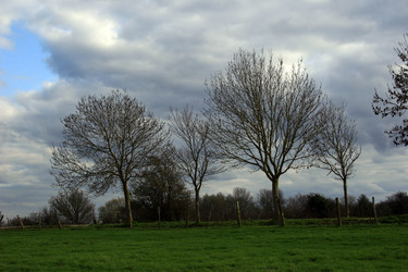 Similar image 8178847