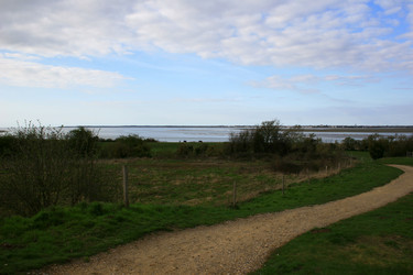 Similar image 8178850