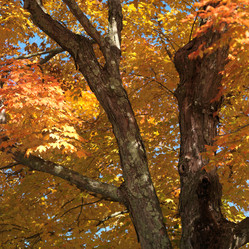 Similar image 8178856