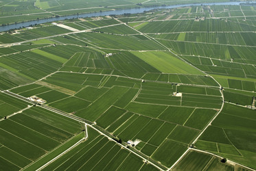 Similar image 8178858