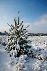 Similar image 8178861