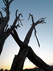 Similar image 8178862