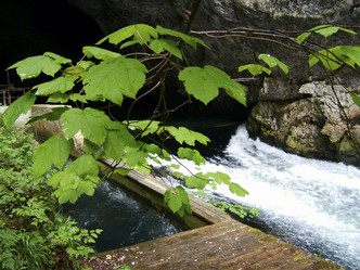 Similar image 8178863