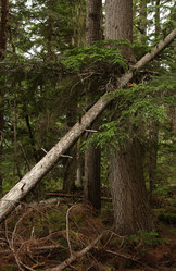 Similar image 8178865