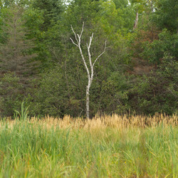 Similar image 8178866