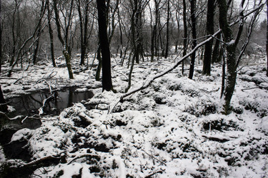 Similar image 8178869