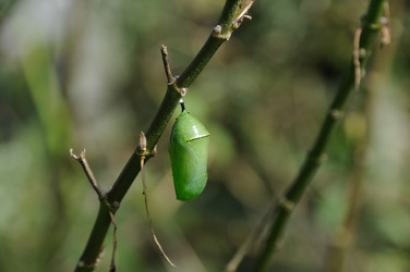 Similar image 8178871