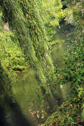 Similar image 8178872