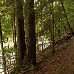 Similar image 8178874