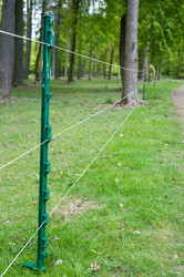 Similar image 8178875