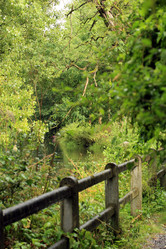 Similar image 8178877