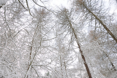 Similar image 8178878