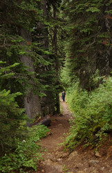 Similar image 8178879