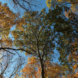 Similar image 8178881