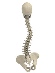 Similar image 8178901