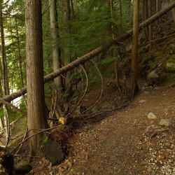 Similar image 8178903