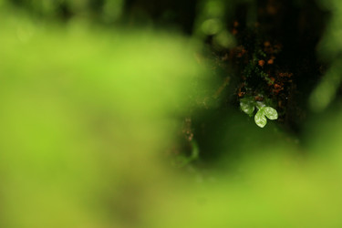 Similar image 8178904