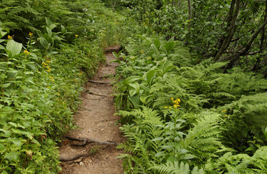 Similar image 8178905