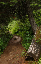 Similar image 8178906