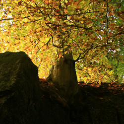 Similar image 8178907