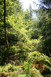 Similar image 8178908