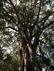 Similar image 8178909