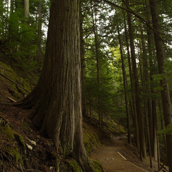 Similar image 8178910