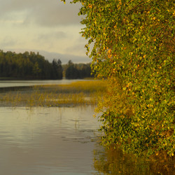 Similar image 8178911