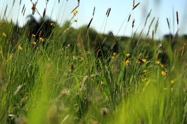 Similar image 8178915