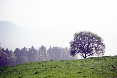 Similar image 8178918