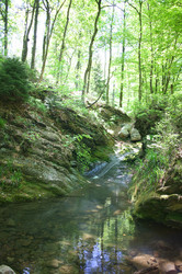 Similar image 8178921