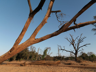 Similar image 8178923