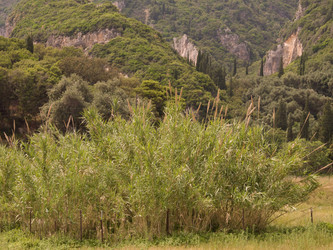 Similar image 8178924