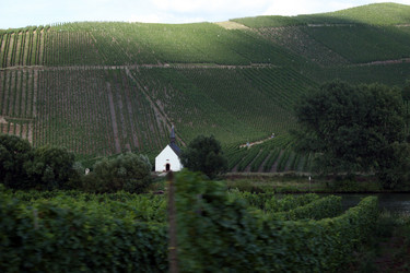 Similar image 8178925