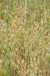 Similar image 8178926