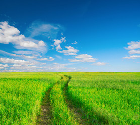 Similar image 8178929