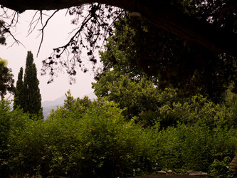 Similar image 8178931