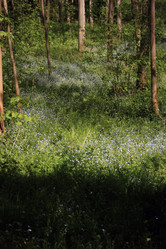 Similar image 8178932