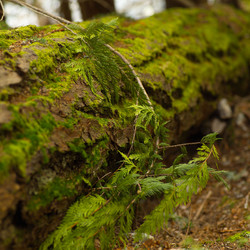 Similar image 8178933