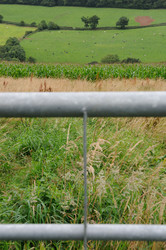 Similar image 8178934