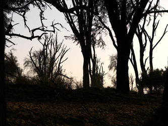 Similar image 8178935