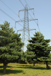 Similar image 8178936