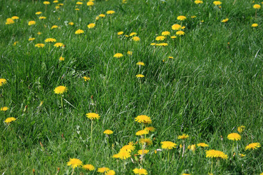 Similar image 8178938