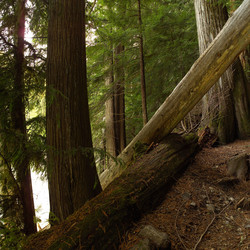 Similar image 8178939