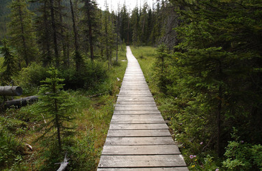 Similar image 8178940