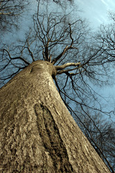 Similar image 8178941